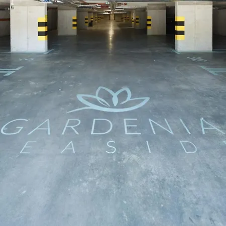 Blue Gardenia * Dziwnów